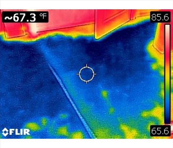 Infrared Photo of water damage on carpet